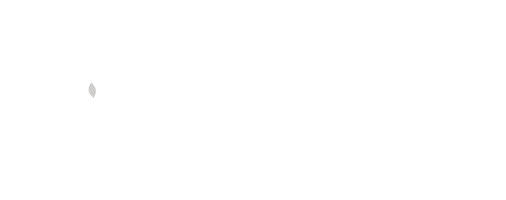 Phoenix Film and Publishing